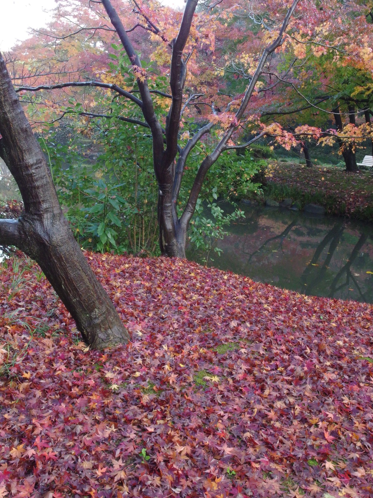 画像9