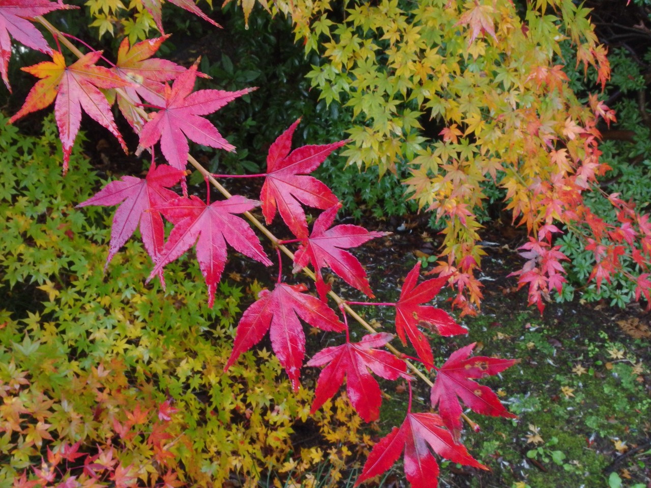 画像2