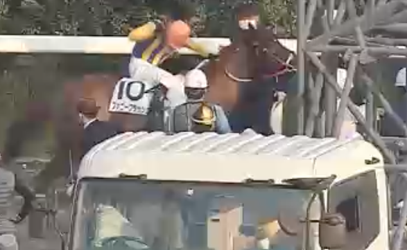 鞭を入れられる