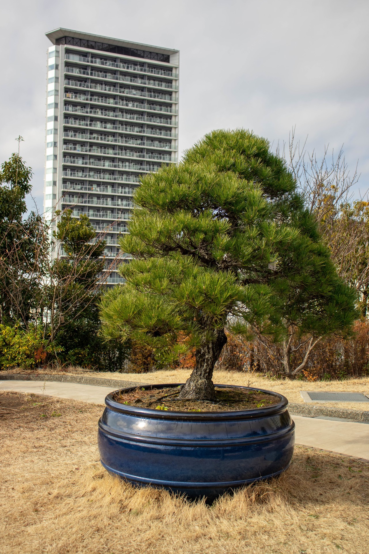 画像8