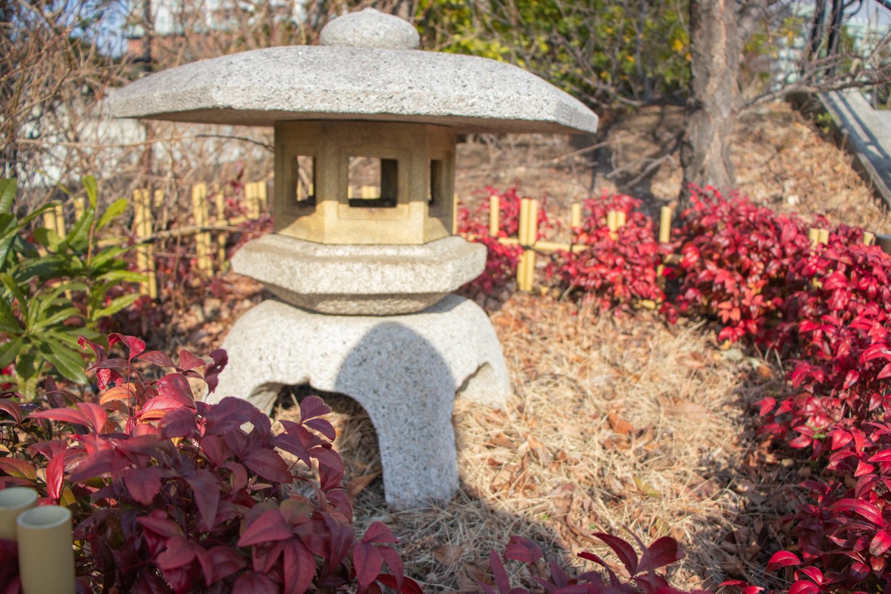 画像12