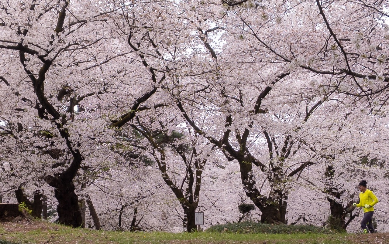 画像14