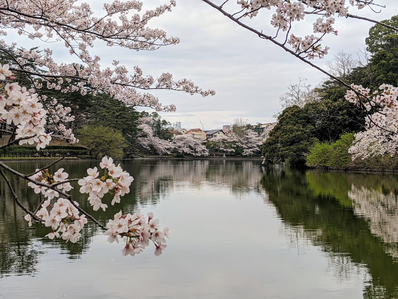 画像13