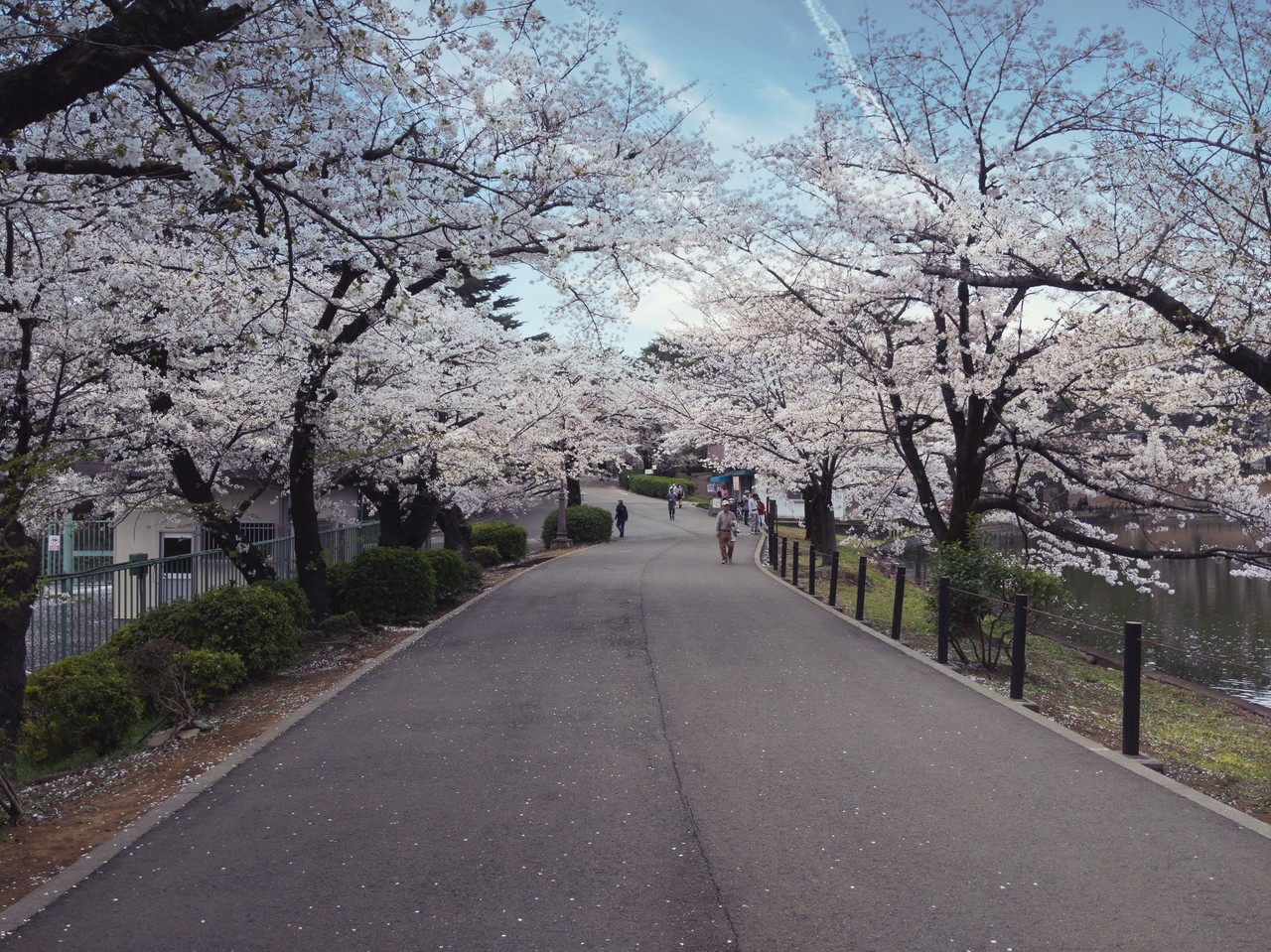 画像12