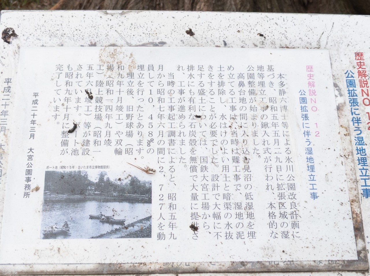 画像11