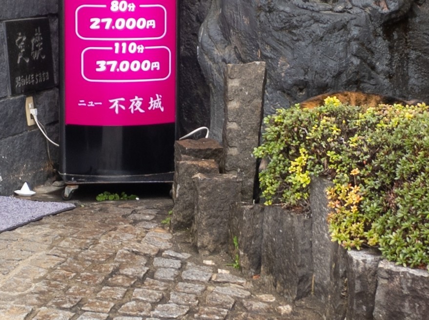 画像11